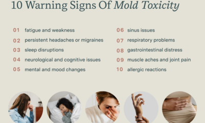 MOLD TOXICITY