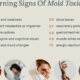 MOLD TOXICITY