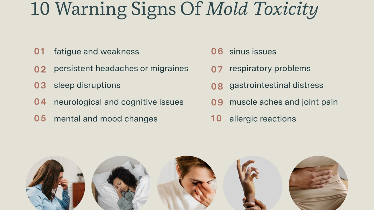 MOLD TOXICITY